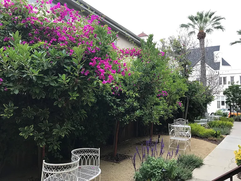 Chateau Louise — Photo 3