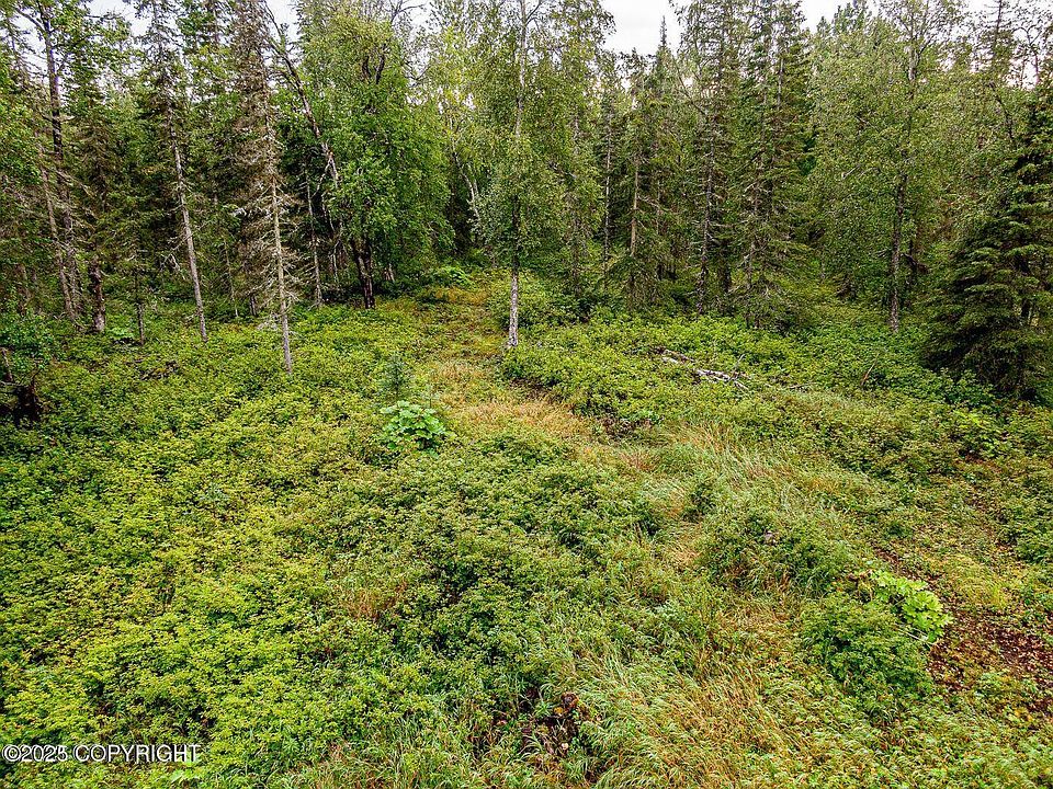 2nd image of L3 B Briggs Acres Hwy #1