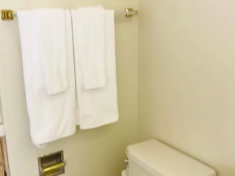 Master Bathroom with Bidet