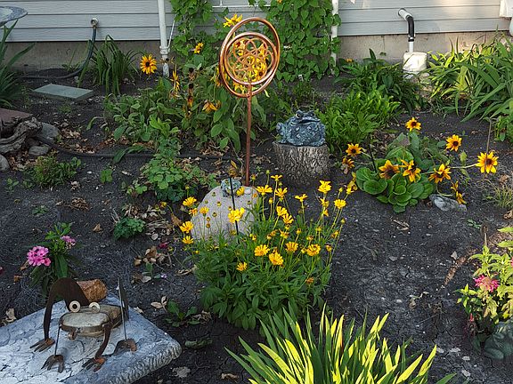 flower bed