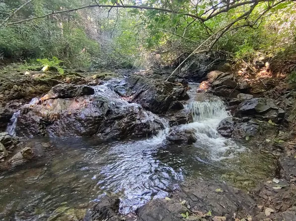 122030065 Low Divide Rd, Crescent City, CA 95531