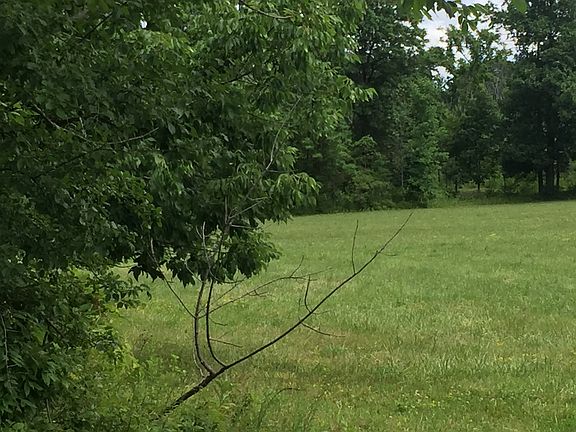 Cleared area house site