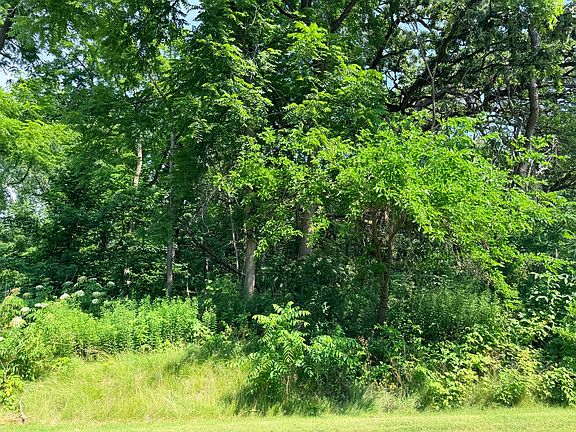 5th image of 26642 N State Route 83