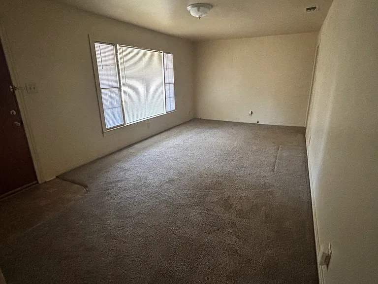 LARGE LIVING ROOM