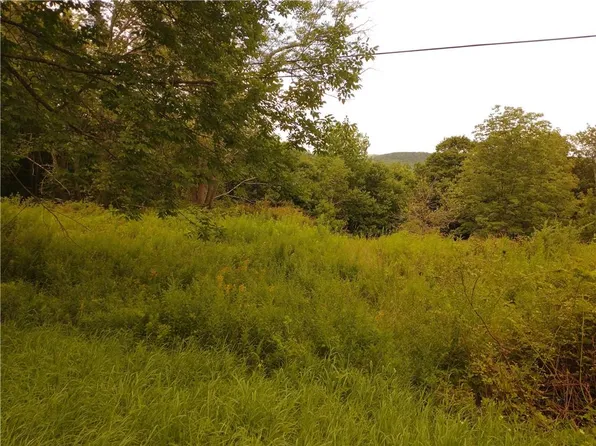 Yaun Road, Livingston Manor, NY 12758