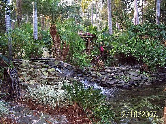 Koi pond, tropical garden