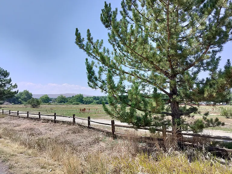 Open fields nearby with mountain views