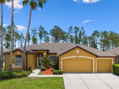 310 N Hampton Dr, Davenport, FL, 33897