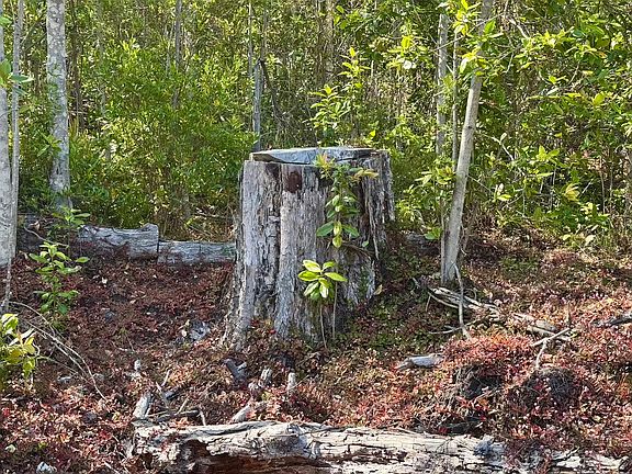3rd image of Ohia Dr Lot 33