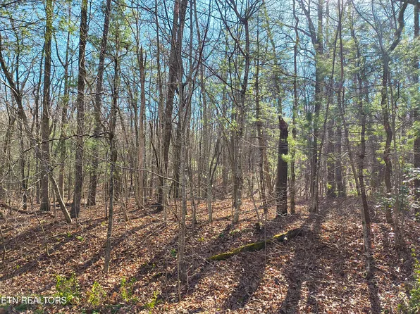 224 Newgate Rd, Crossville, TN 38558