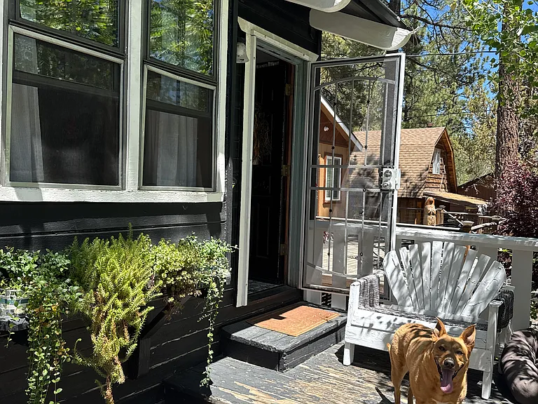 462 Imperial Ave — Photo 5