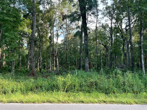 0 NE 209th Ave, Old Town, FL 32680