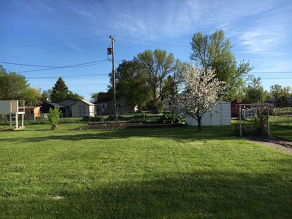 Back yard 3