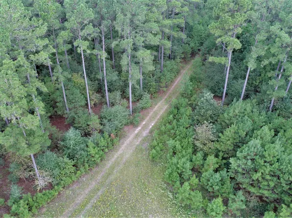 County Road 3540, Lovelady, TX 75851