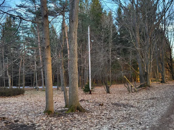 Viaduct Rd, Copemish, MI 49625