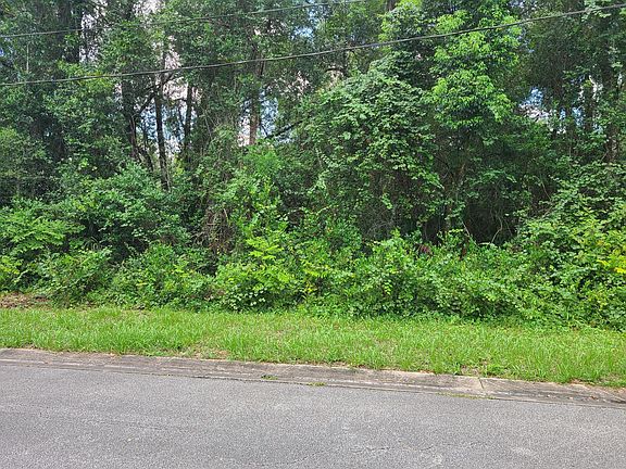 4th image of 0 W Winnemissett Ave