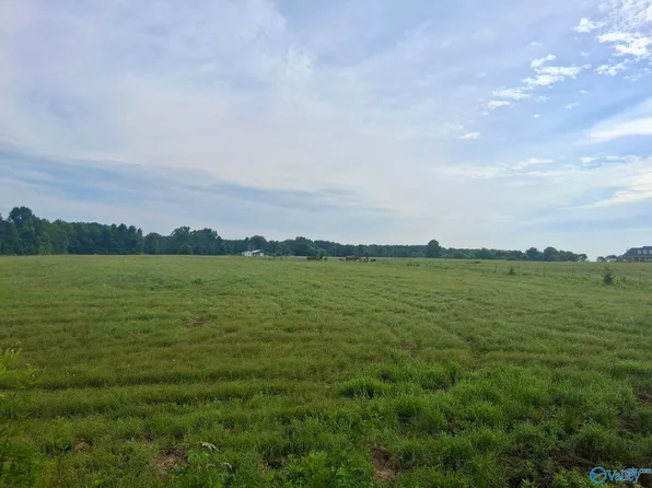 Columbus City Rd, Grant, AL 35747