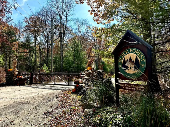 Black Forest Road, Glen Spey, NY 12737