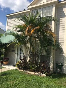1713 Mill Run Cir, Tampa, FL, 33613