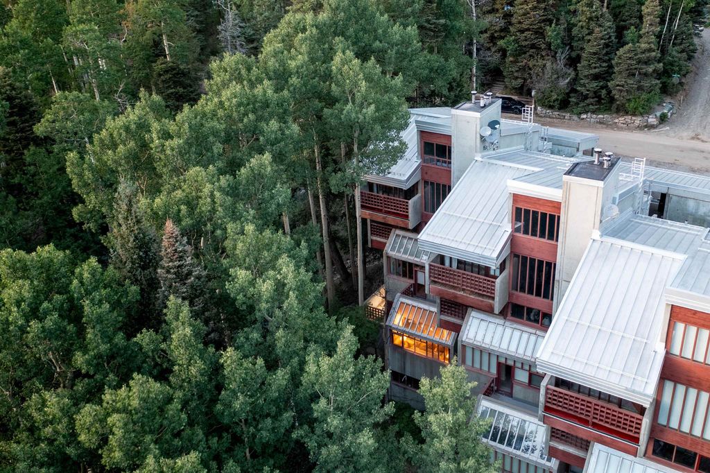 15 Twining Road #1A, Taos Ski Valley, NM - View 6