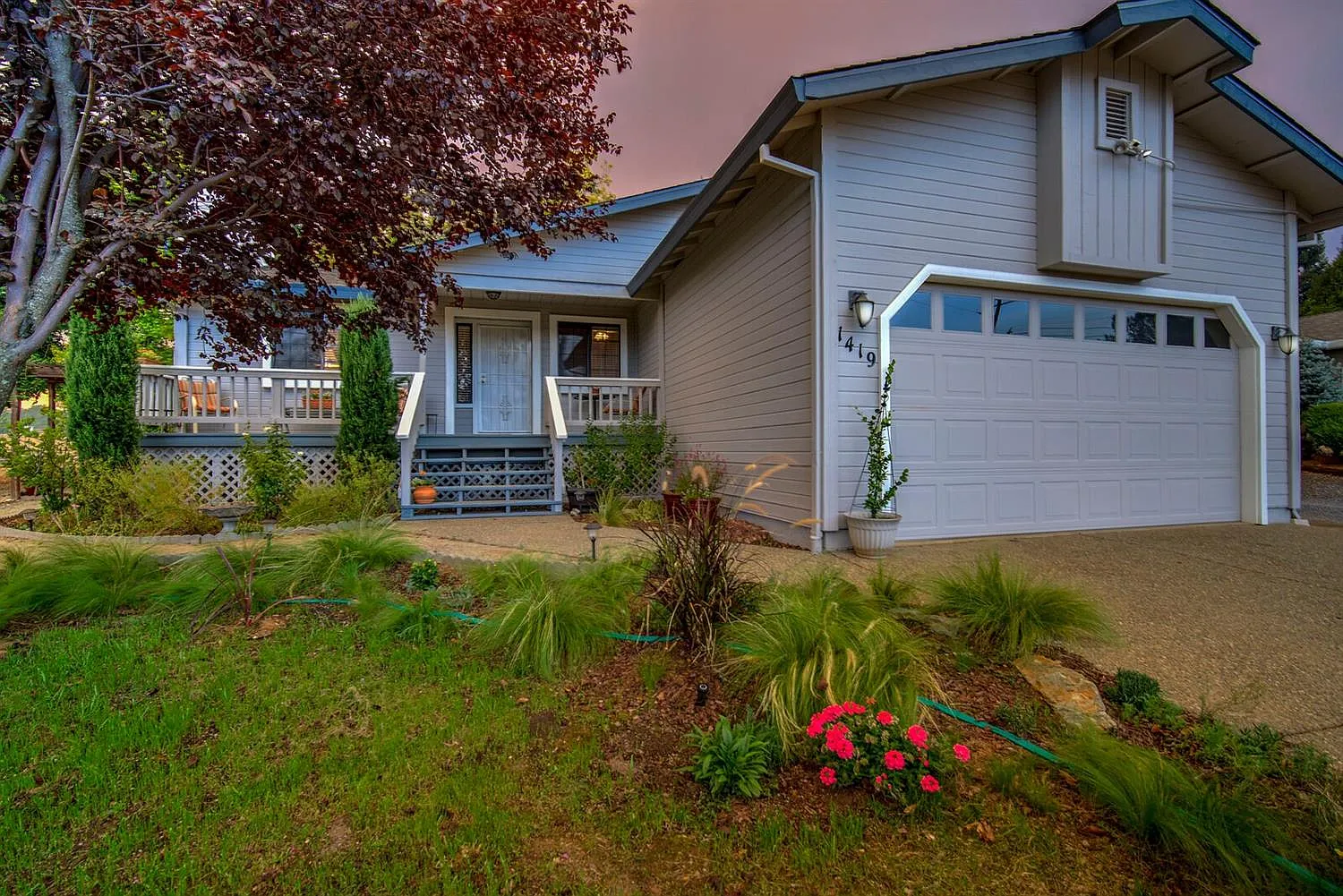 1419 American River Trl photo 1