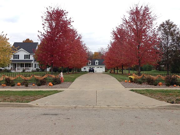 Driveway view in the fall