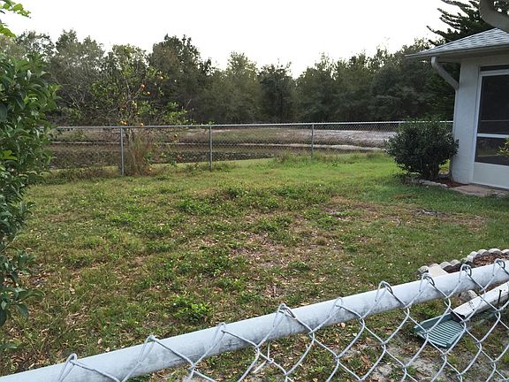 Back Yard View