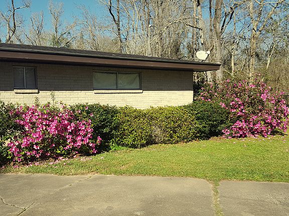 Flowering multiple times /yr