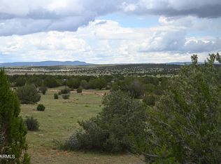 64550 N Flaming Star Dr #385, Seligman, AZ 86337