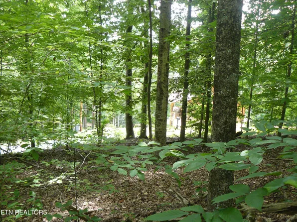 Tanglewood Rd, Sharps Chapel, TN 37866