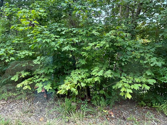 5th image of 3198 Red House Rd