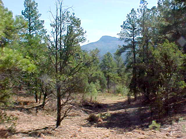 1st image of 35575 Ponderosa Ridge Dr