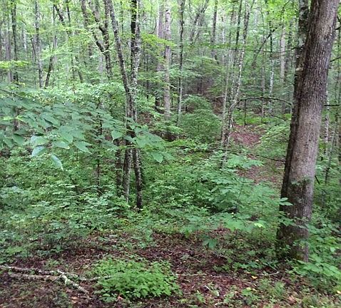 2nd image of 355 Sleepy Hollow Dr