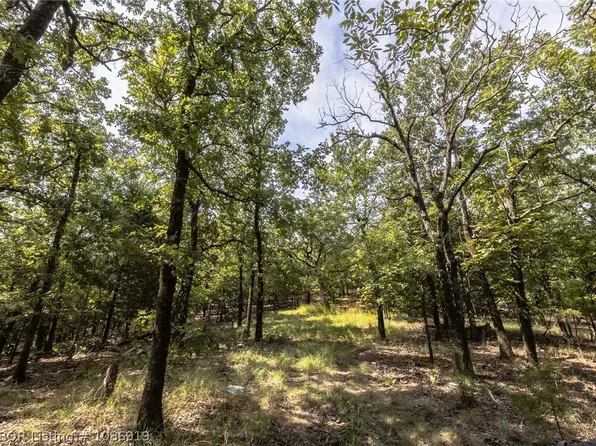 TRACT 18 Wolf Mountain Rd, Tuskahoma, OK 74574