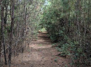 192 Demeries Lake Ln, Richmond Hill, GA 31324