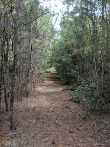 192 Demeries Lake Ln, Richmond Hill, GA, 31324