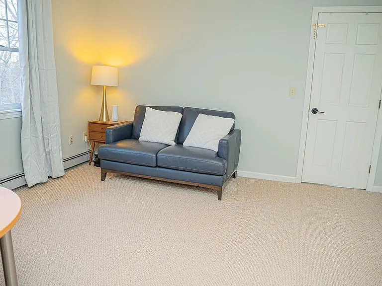 100 White Birch Dr — Photo 29
