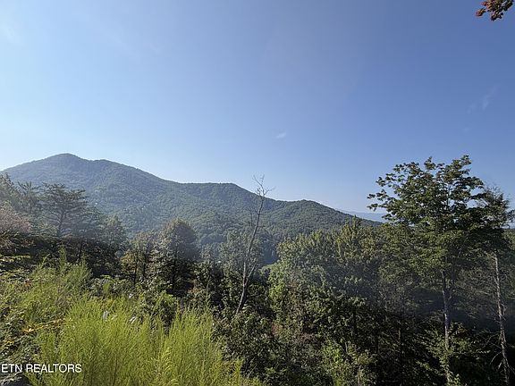 4th image of 4228 Wears Valley Rd Lot 161&162