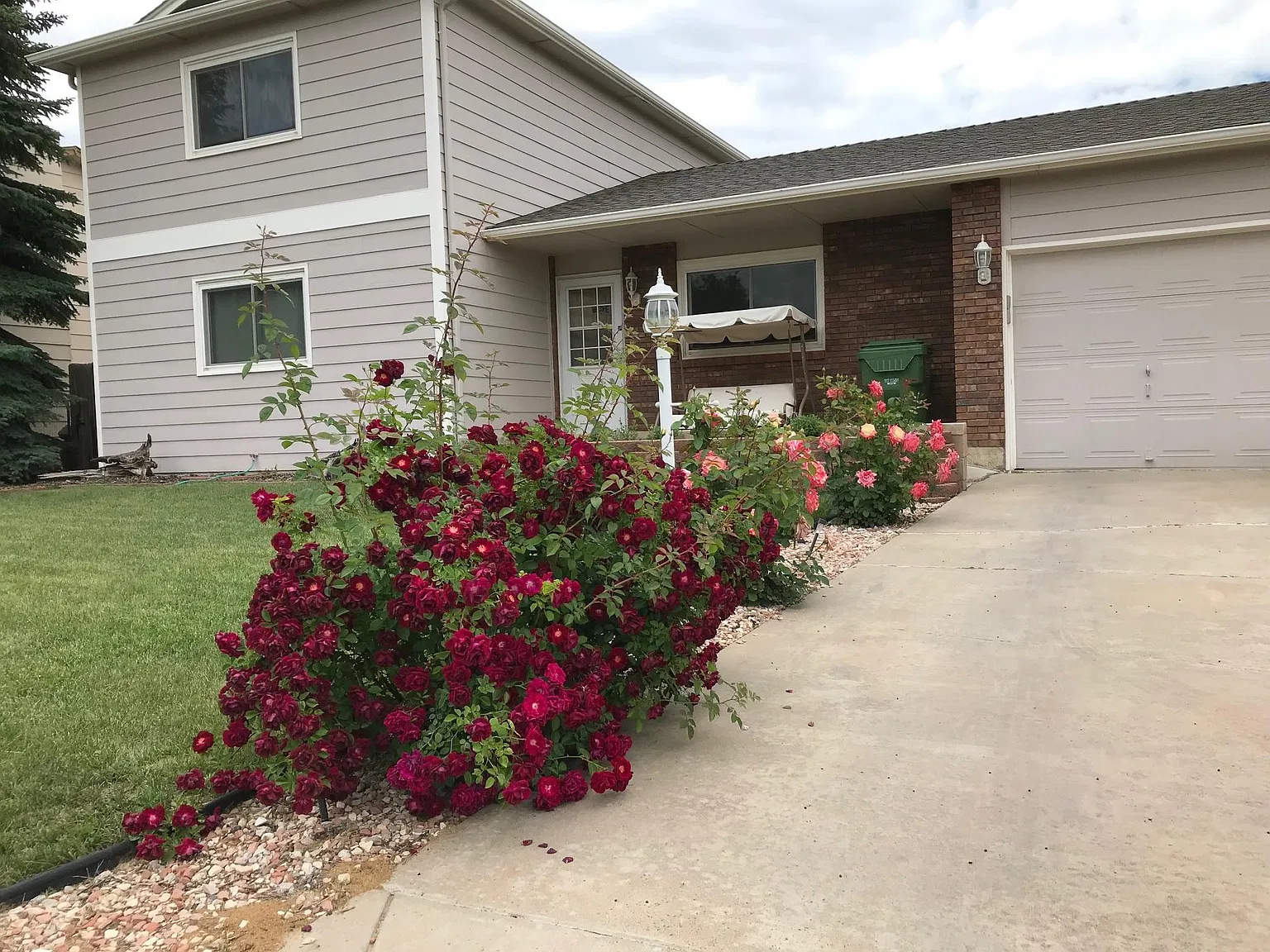3 bed, 1666 sqft, $2,400 — Photo 1