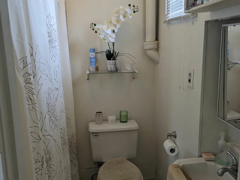 1417 Bingham St #3 — Photo 13