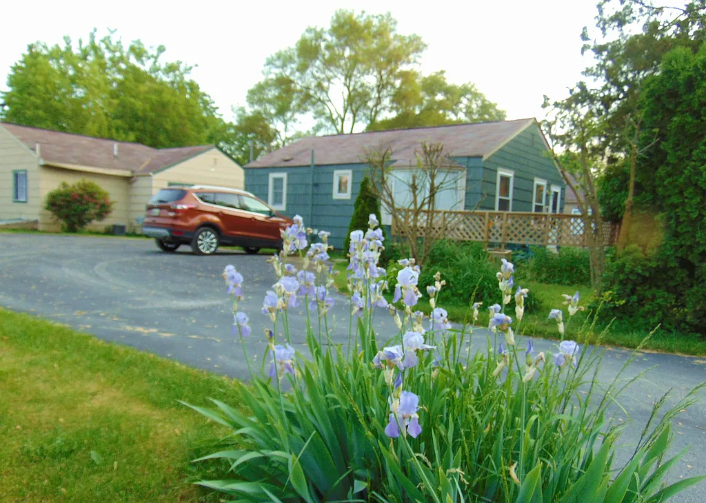 Property photo 5