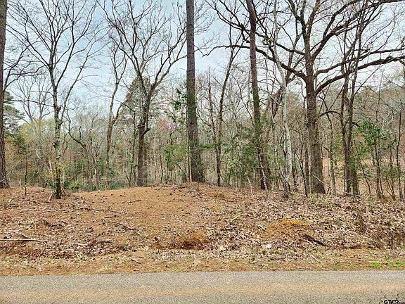 4th image of 19299 & 19321 County Road 4125