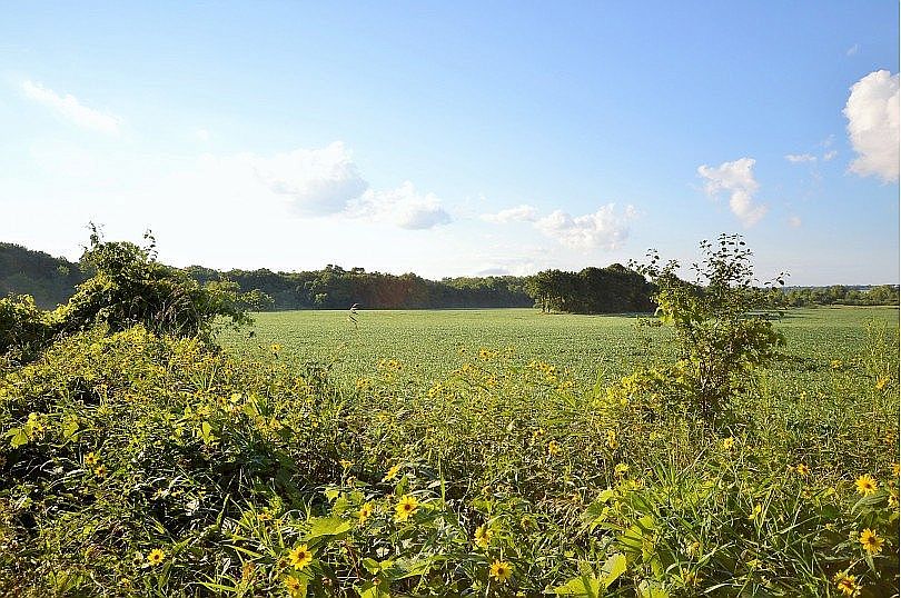 Pheasant Run Subdivision