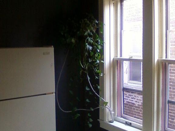 5th image of 332 E William St #3