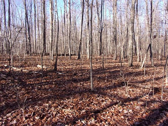 5th image of Rocky Creek Dr