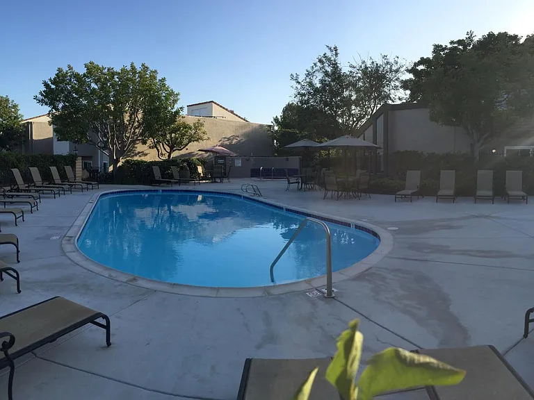 Large Pool