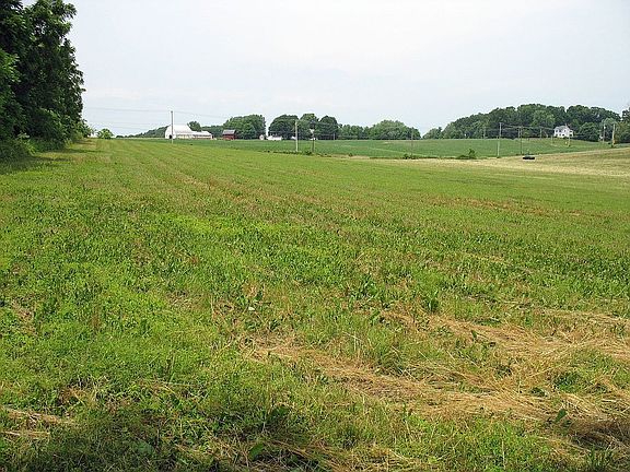 Rear of lot to Davis Rd