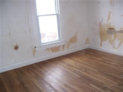 4th image of 707 Clark Ave