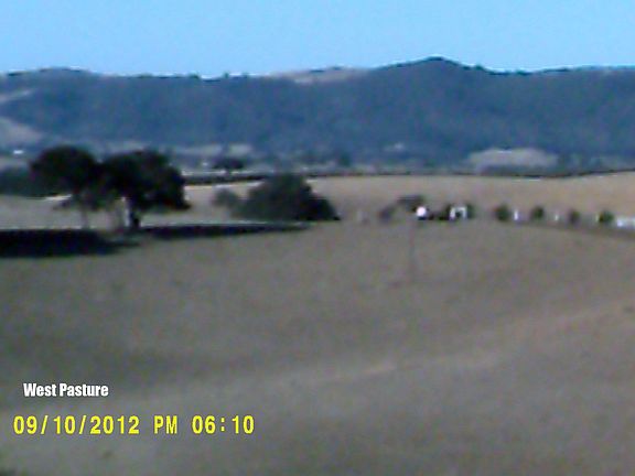 WEST PASTURE