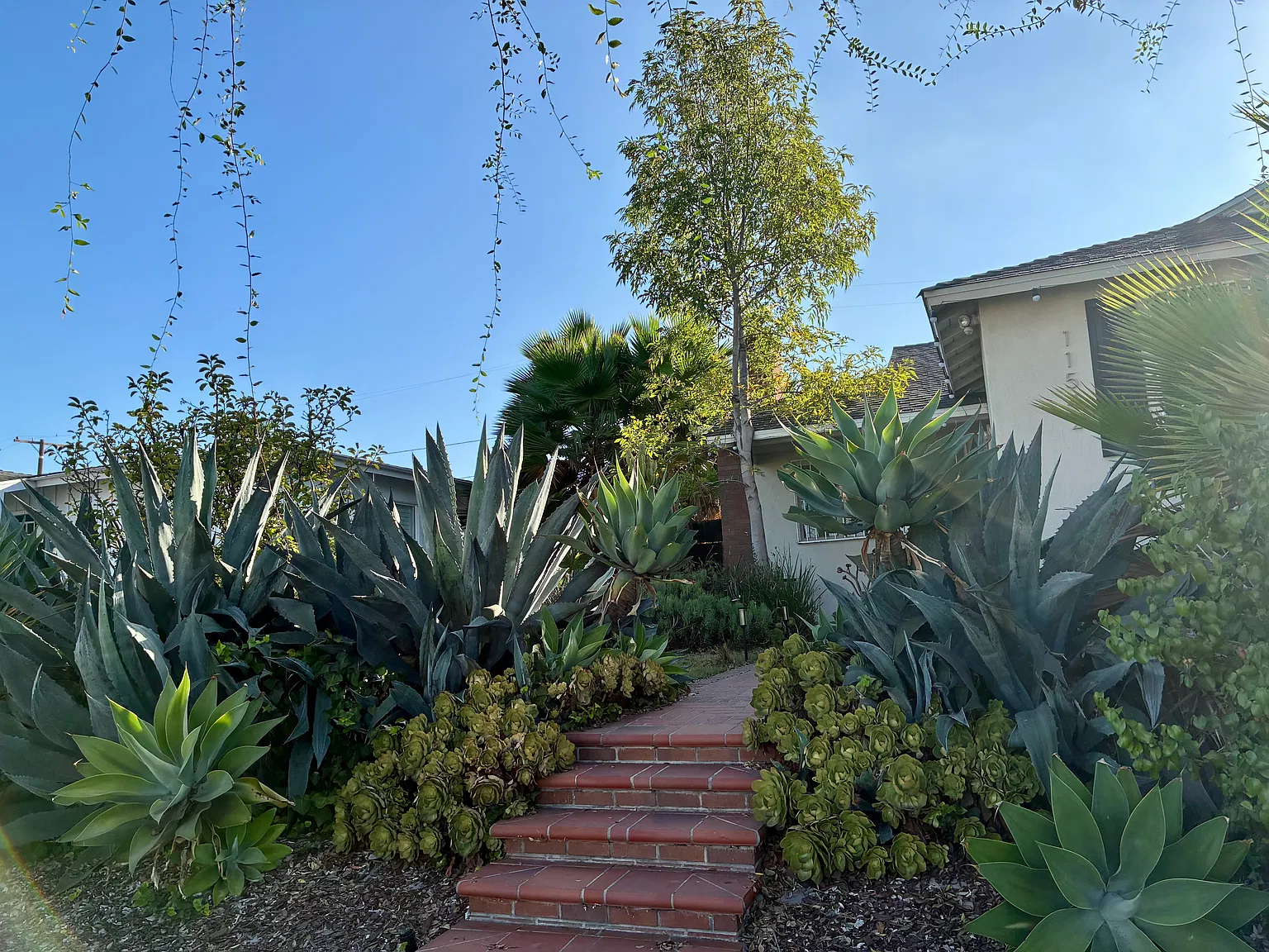 3 bed, 1192 sqft, $4,500 — Photo 4